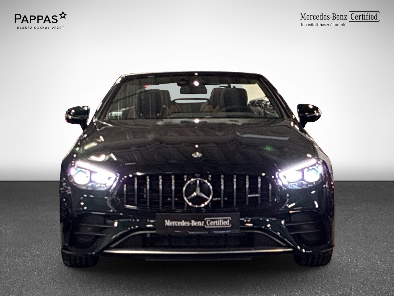 Mercedes-Benz E 53 AMG 4M+ Cabrio