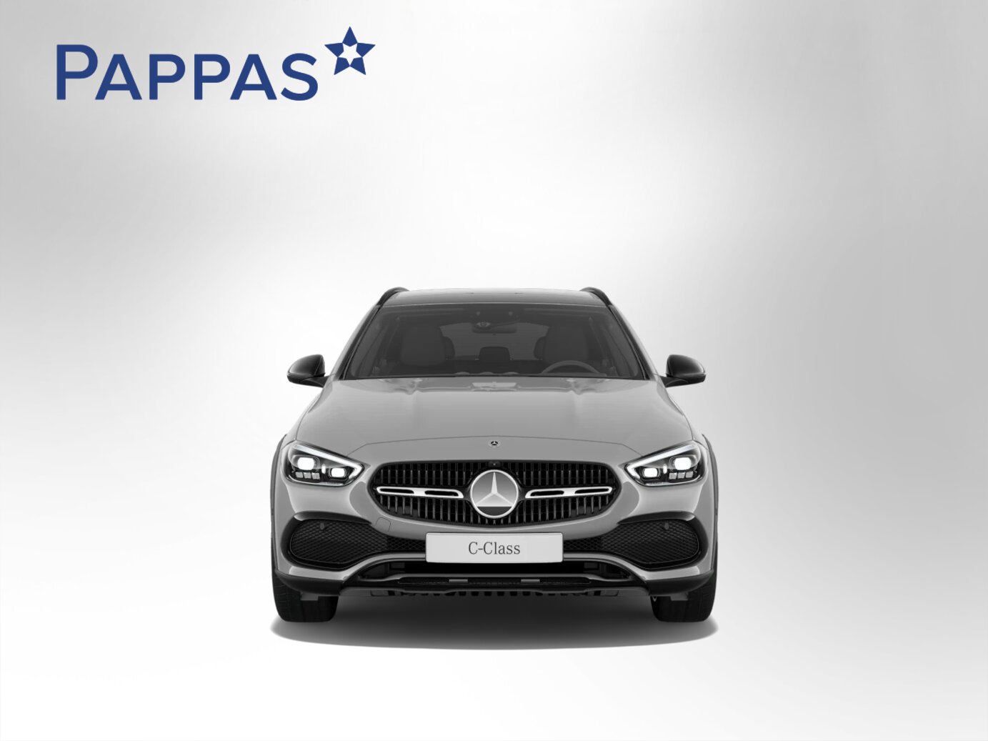 Mercedes-Benz C 220 d 4MATIC T-Modell All-Terrain