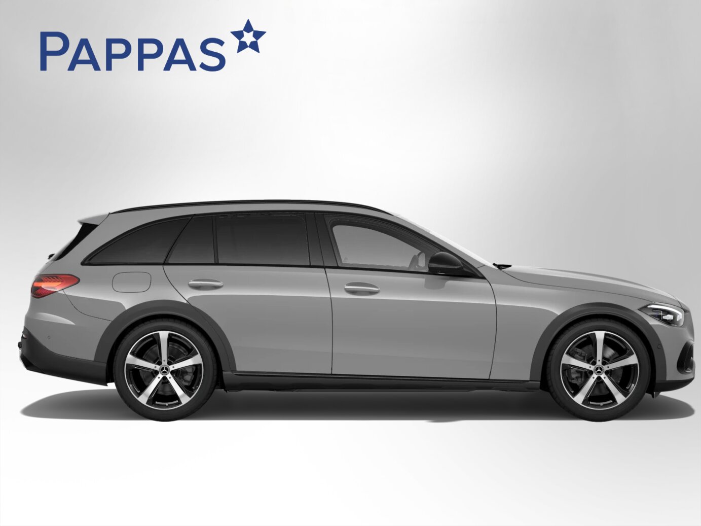 Mercedes-Benz C 220 d 4MATIC T-Modell All-Terrain