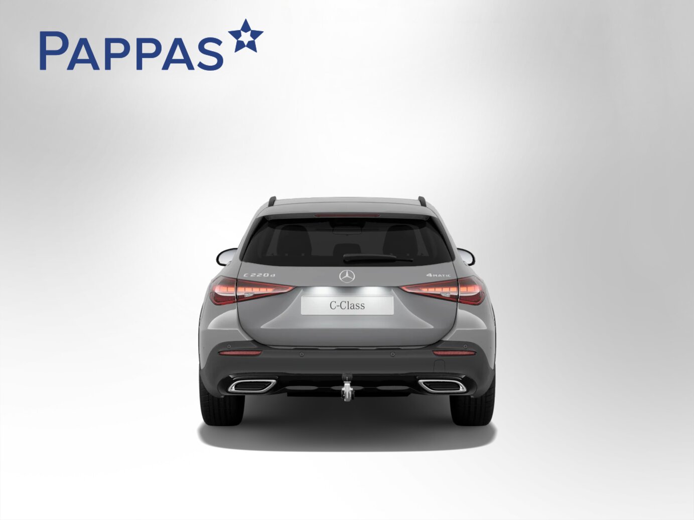 Mercedes-Benz C 220 d 4MATIC T-Modell All-Terrain