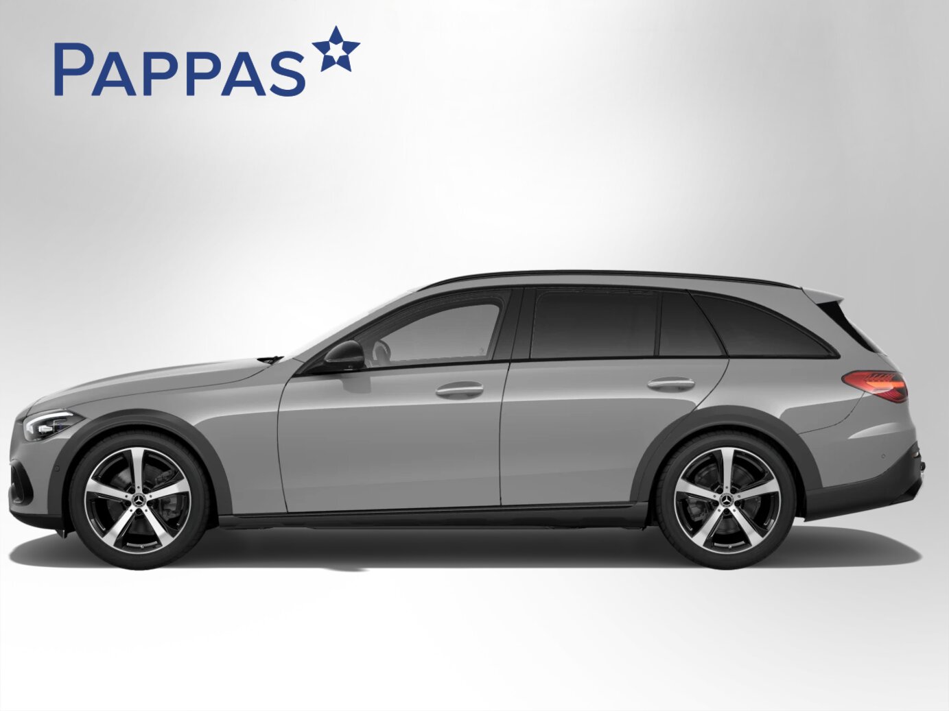 Mercedes-Benz C 220 d 4MATIC T-Modell All-Terrain