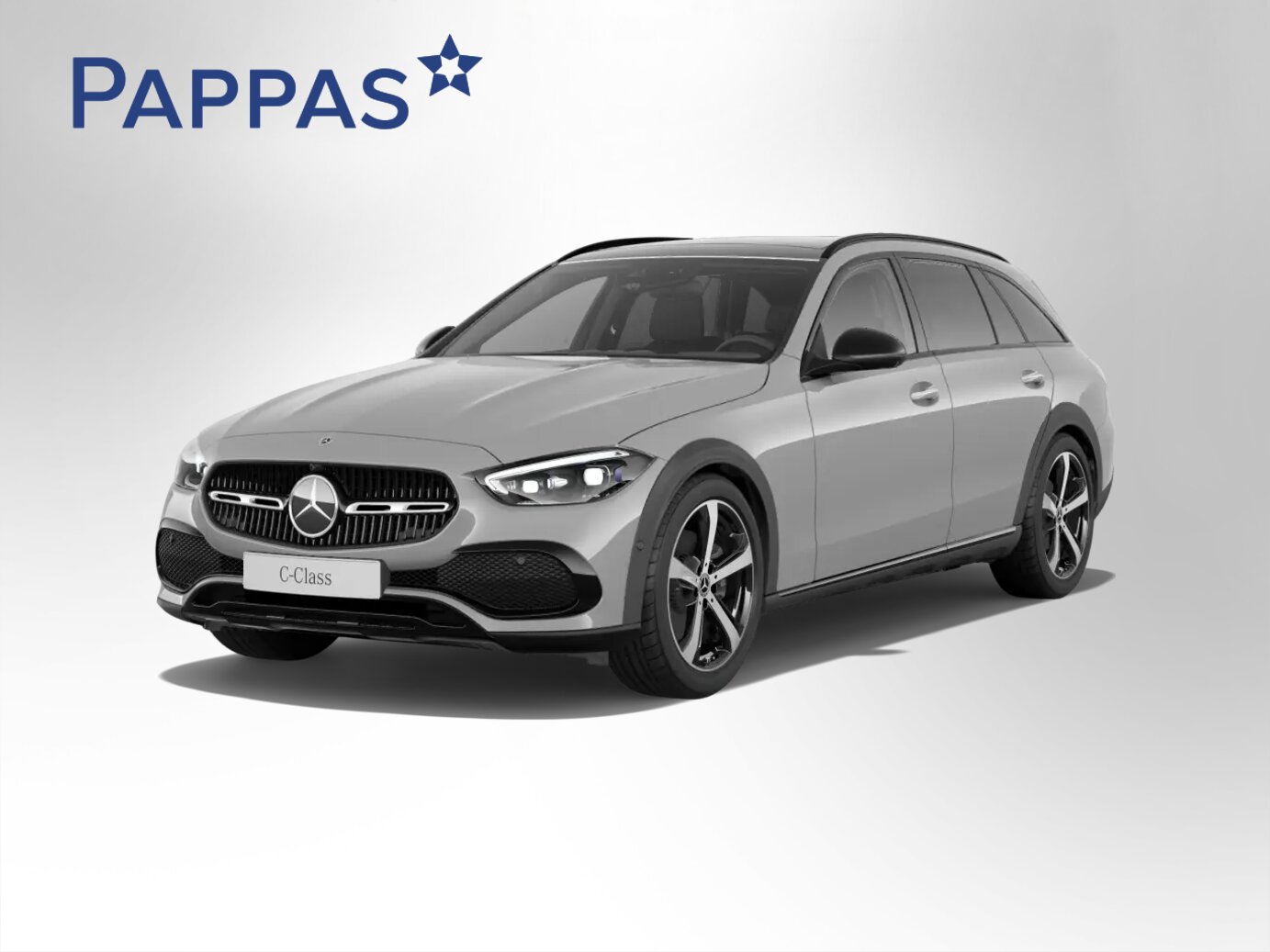 Mercedes-Benz C 220 d 4MATIC T-Modell All-Terrain