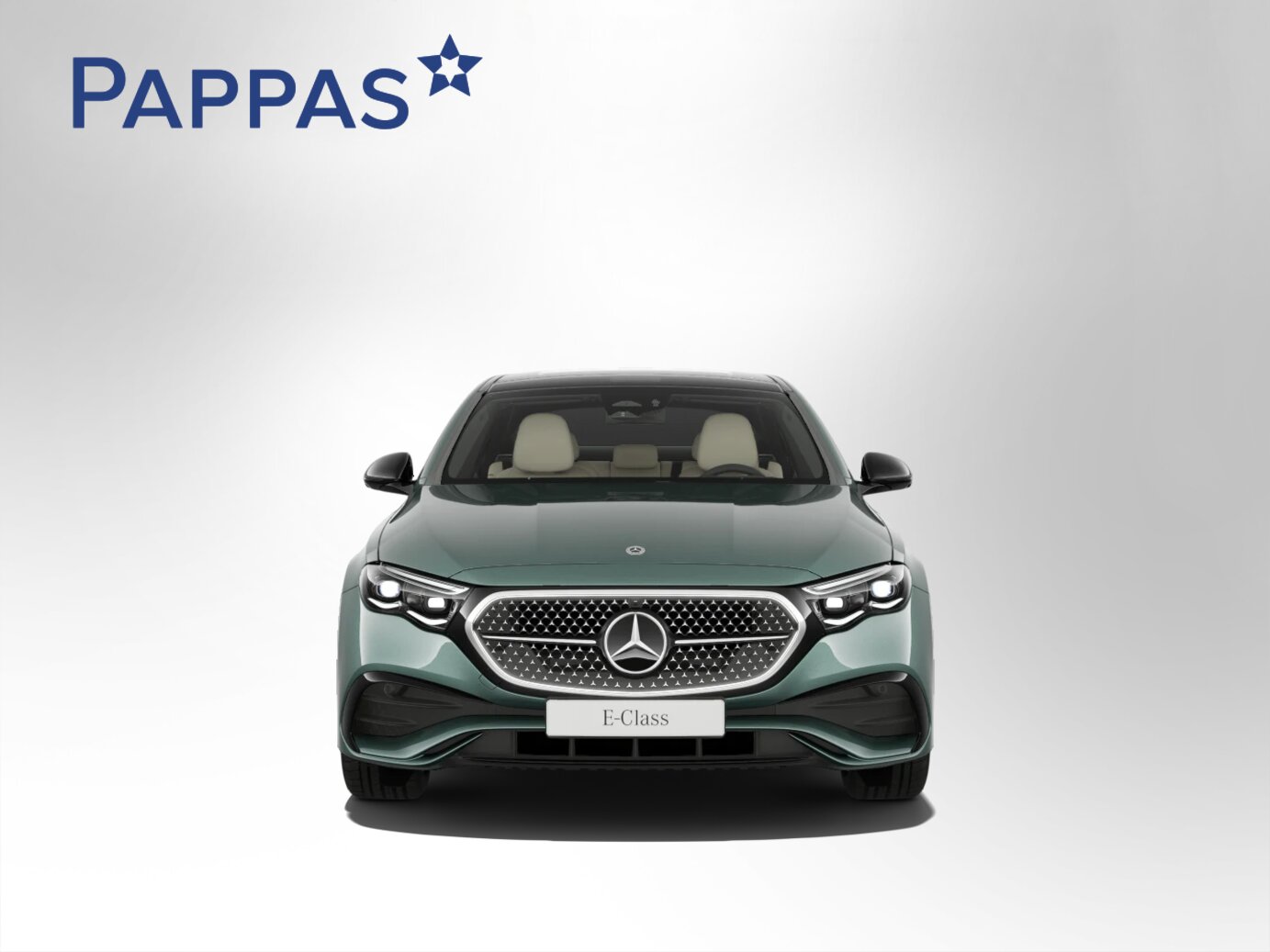 Mercedes-Benz E 220 d 4MATIC Limousine