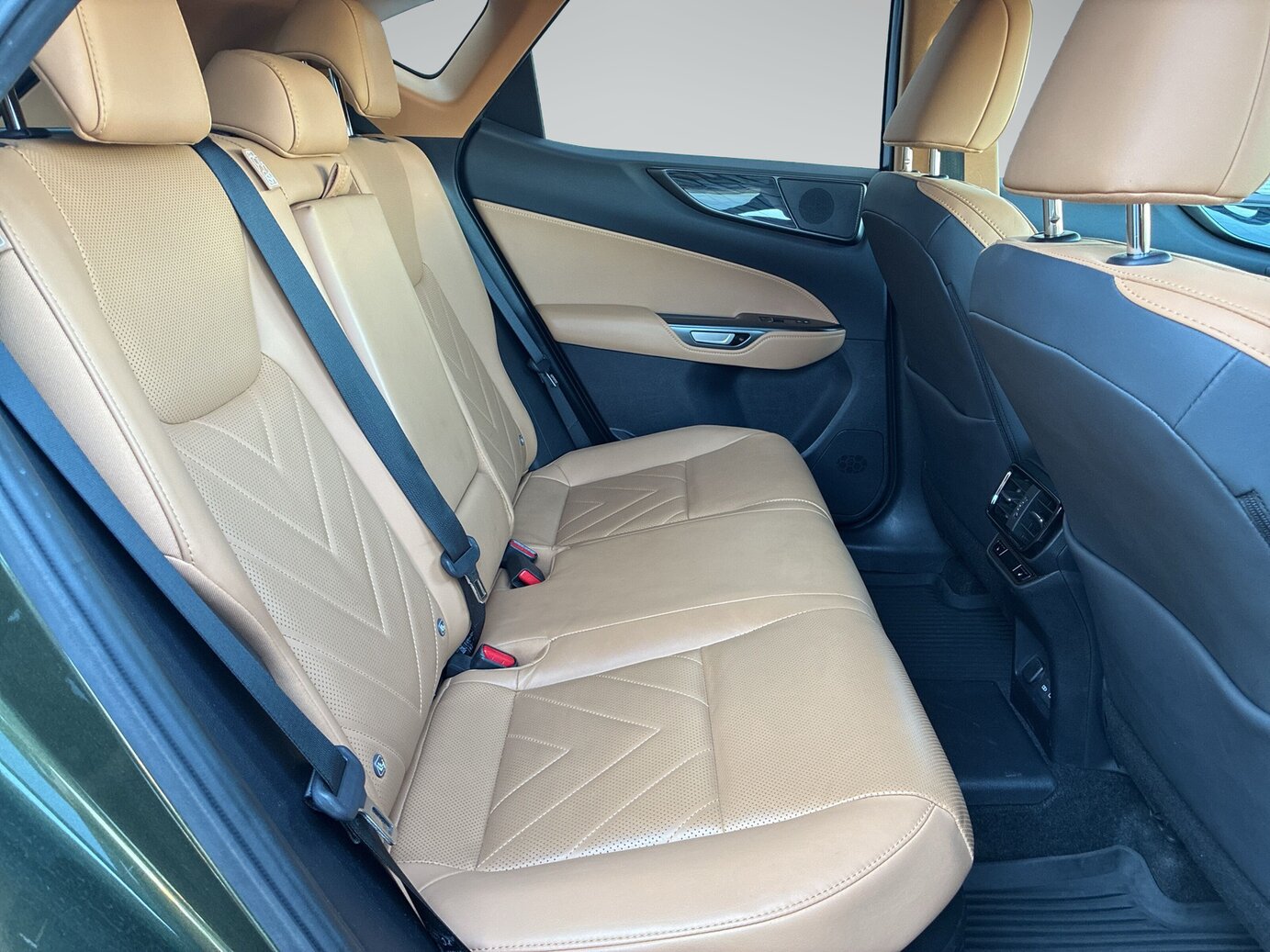 Lexus NX 450H