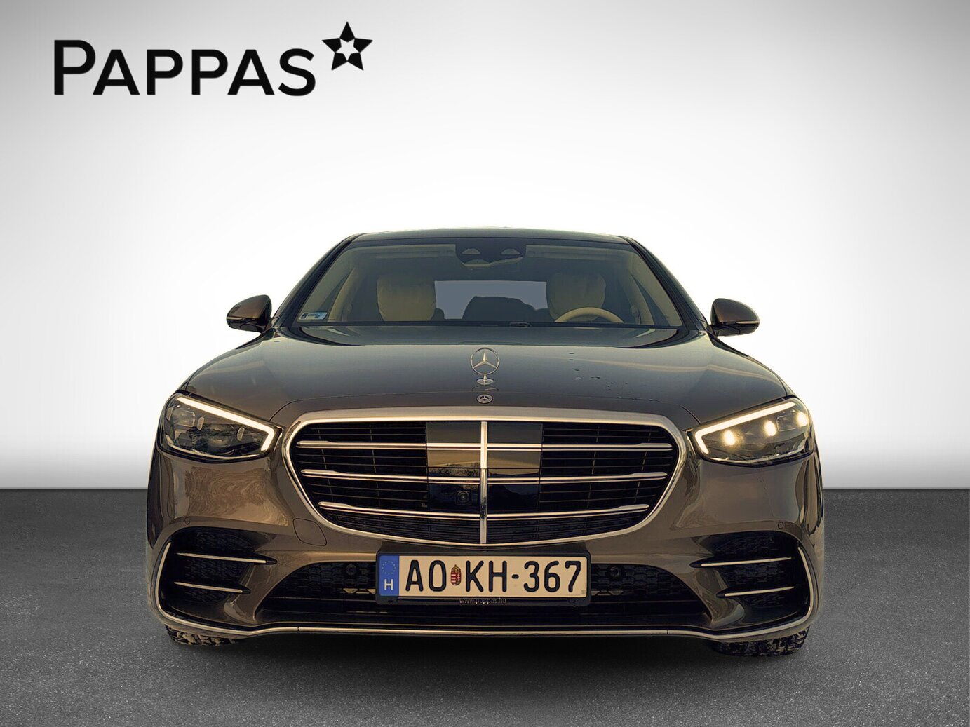 Mercedes-Benz S 350 d 4MATIC Limousine