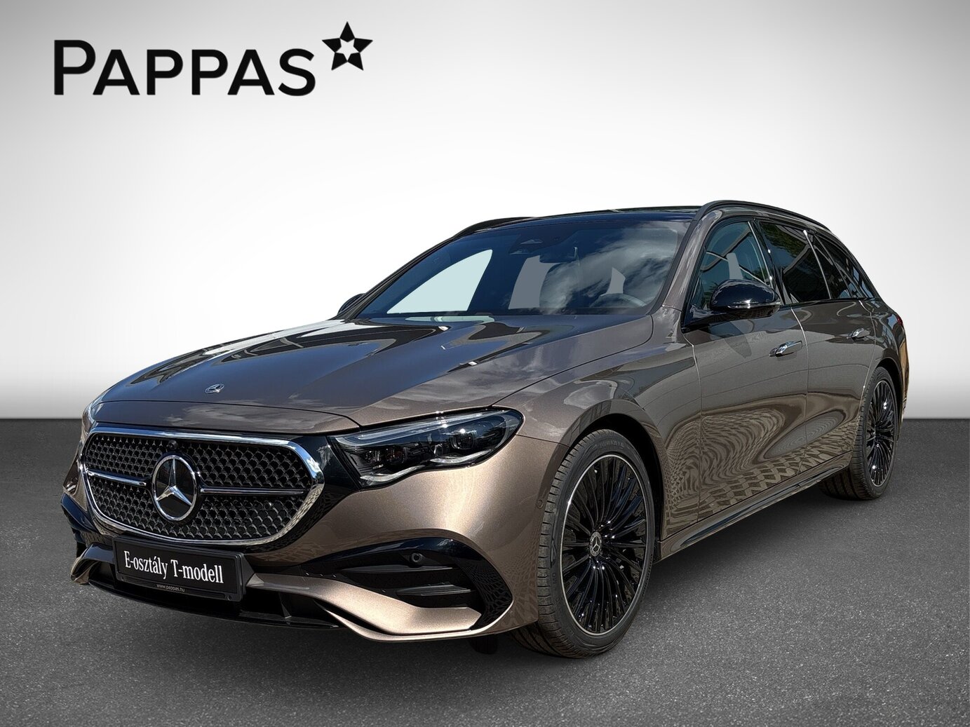 Mercedes-Benz E 220 d 4MATIC T-Modell