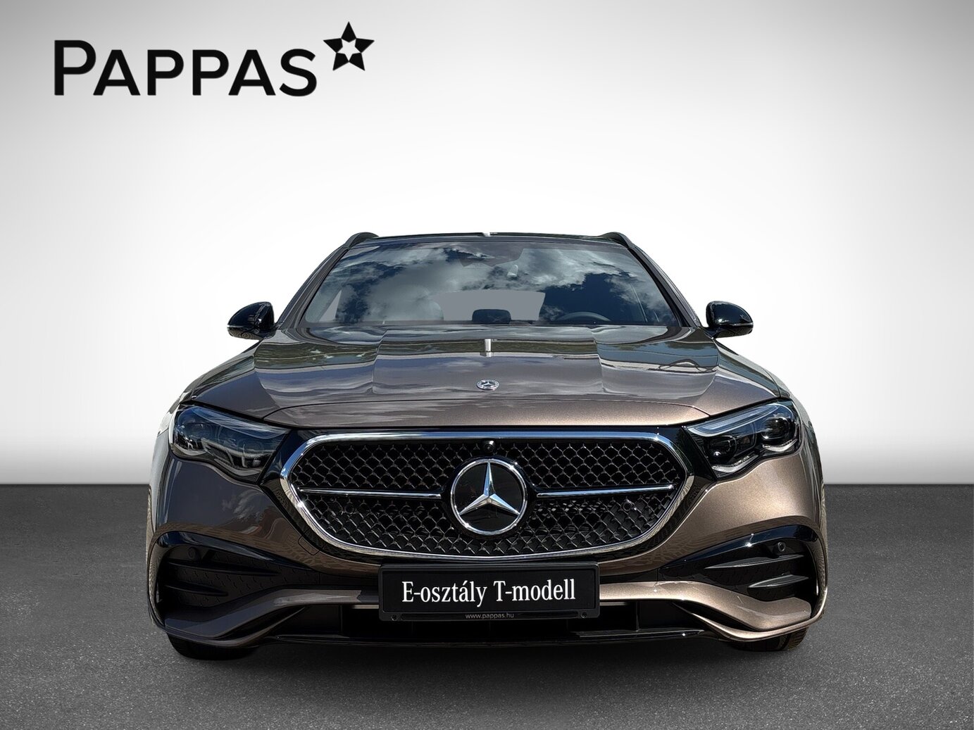 Mercedes-Benz E 220 d 4MATIC T-Modell