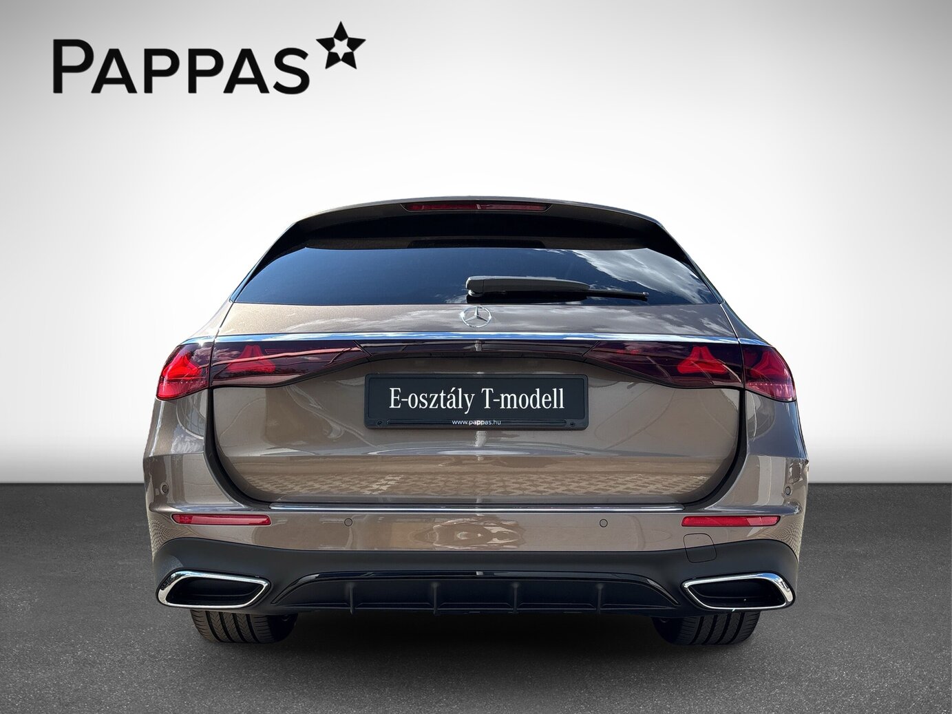 Mercedes-Benz E 220 d 4MATIC T-Modell